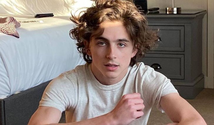 What is Timothée Chalamet's Net Worth in 2021? Learn About His Earnings and Salary